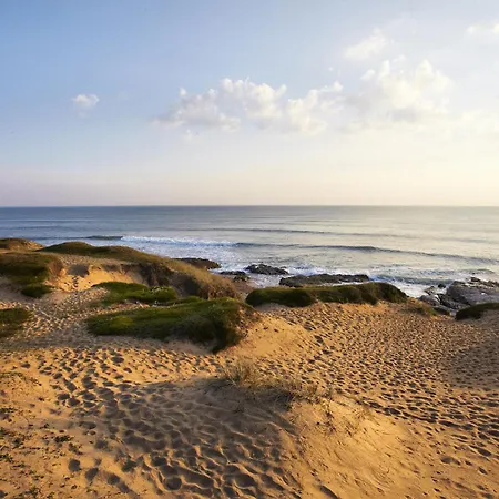 Bleu Horizon Avec Terrasse Apartment
