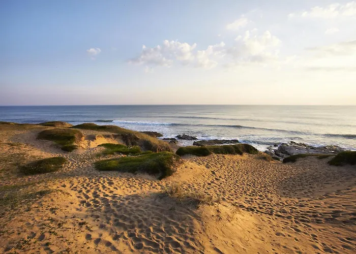 Bleu Horizon Avec Terrasse Apartment